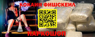 гашик Можга