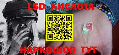 гашик Можга