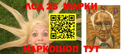 гашик Можга