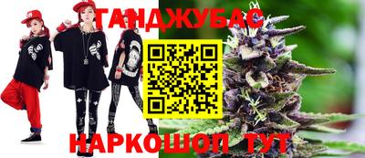 гашик Можга