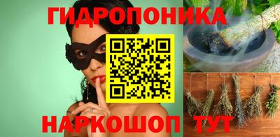 гашик Можга