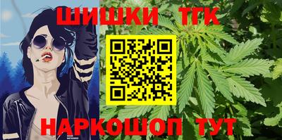 гашик Можга