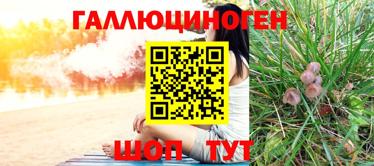 Галлюциногенные грибы GOLDEN TEACHER  Галлюциногенные грибы MAGIC MUSHROOMS  Вход с VPN  Сыктывкар 